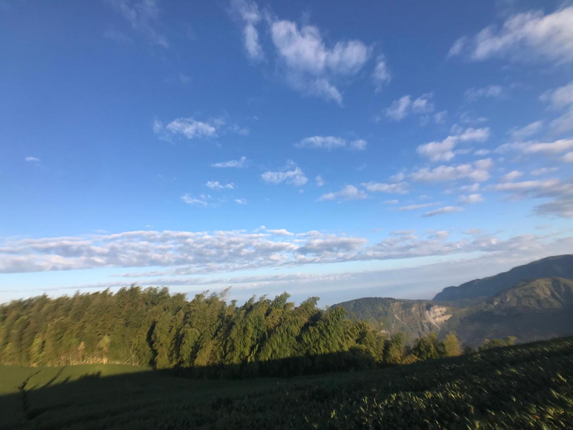 De Ren Tea Gardens Apartment Meishan Bagian luar foto