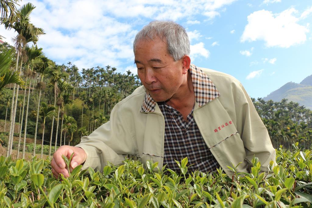 De Ren Tea Gardens Apartment Meishan Bagian luar foto