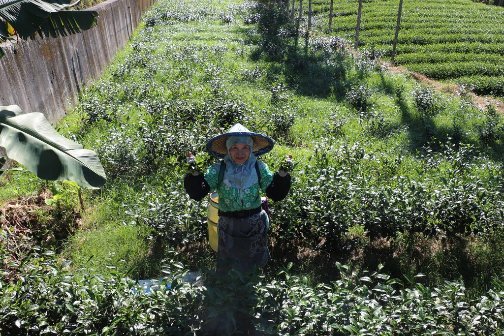 De Ren Tea Gardens Apartment Meishan Bagian luar foto